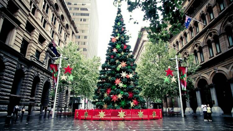 A photo of the giant Christmas tree at Martin Place