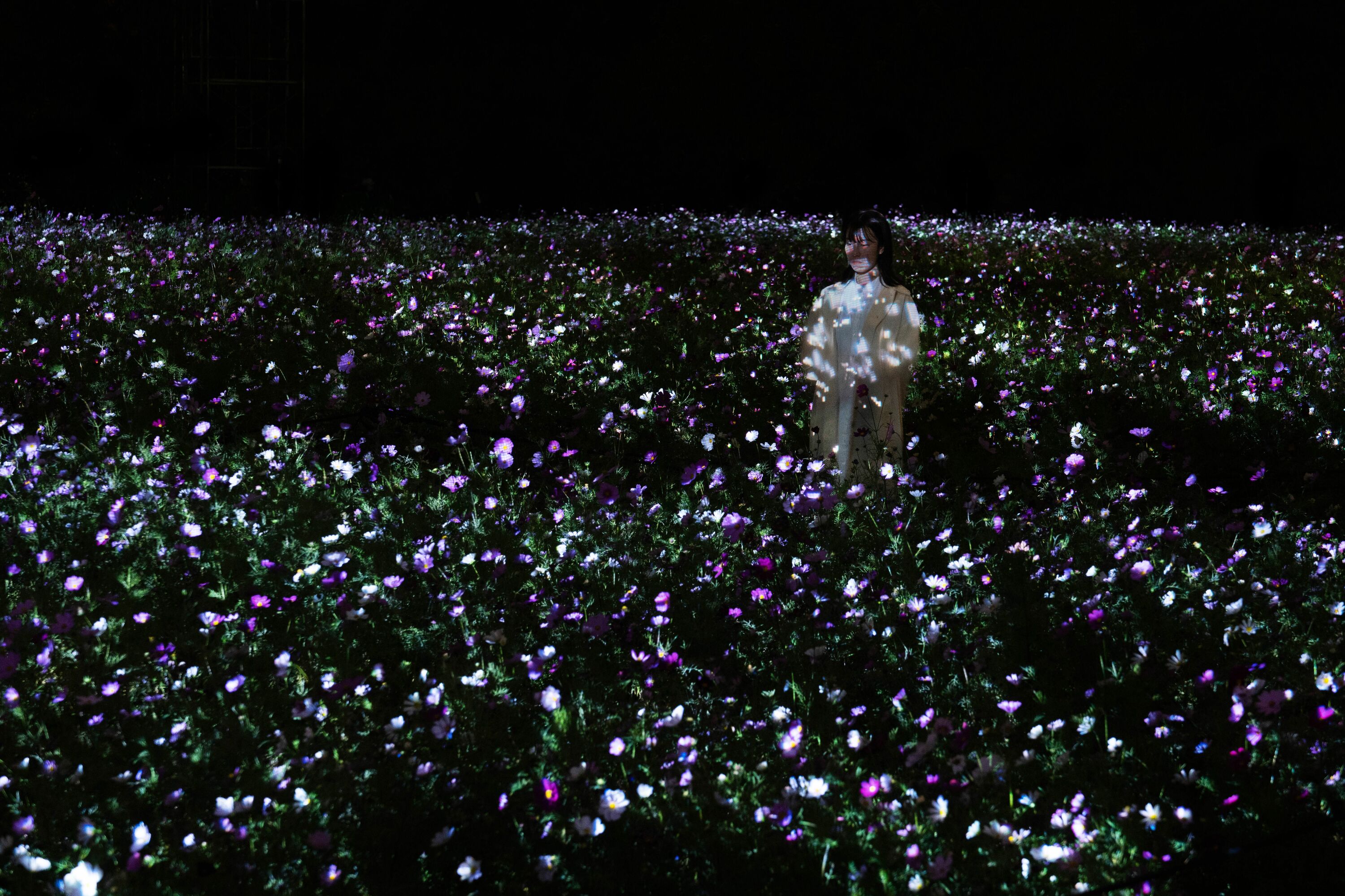 What Is Teamlab Osaka