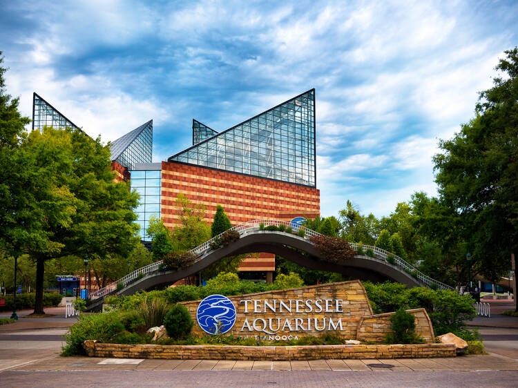 Tennessee Aquarium