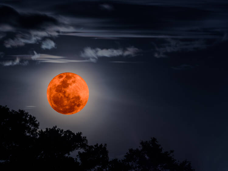 Tuesday's 'blood Moon' lunar eclipse will be the last one for three years