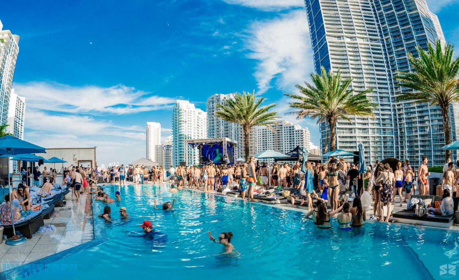 AMAZING POOL PARTY MIAMI drinks and transportation included 2024
