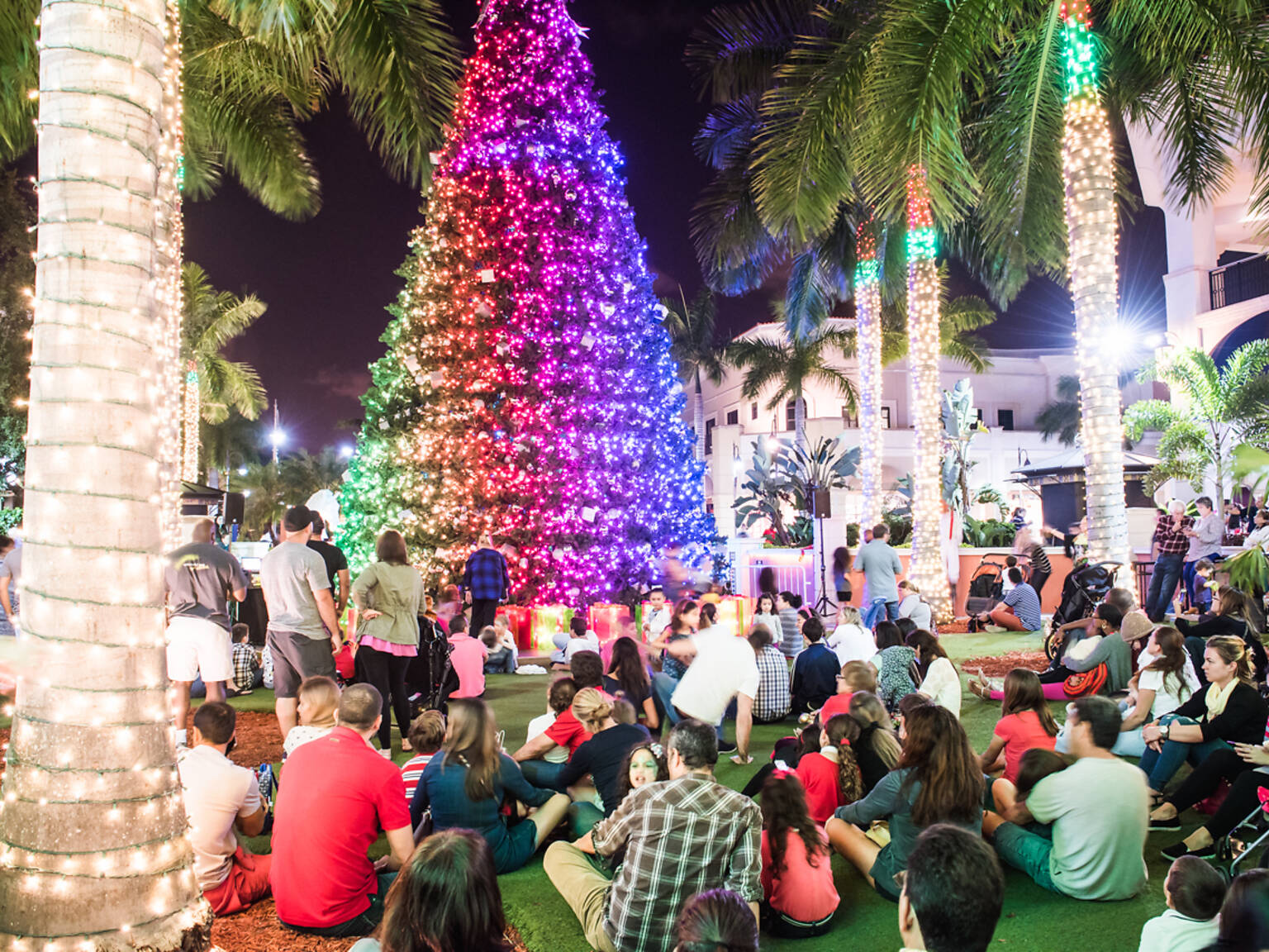 Where to see the most spectacular Christmas lights in Miami