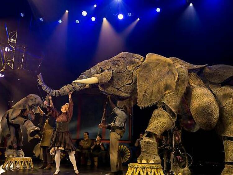 Christmas shows for the whole family