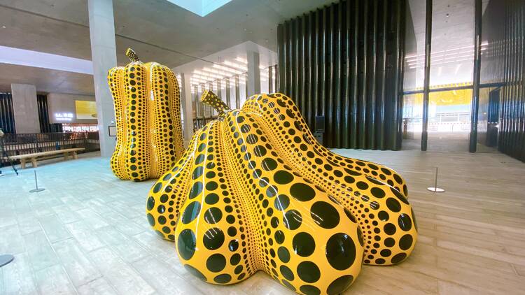 Mplus museum, Yayoi Kusama