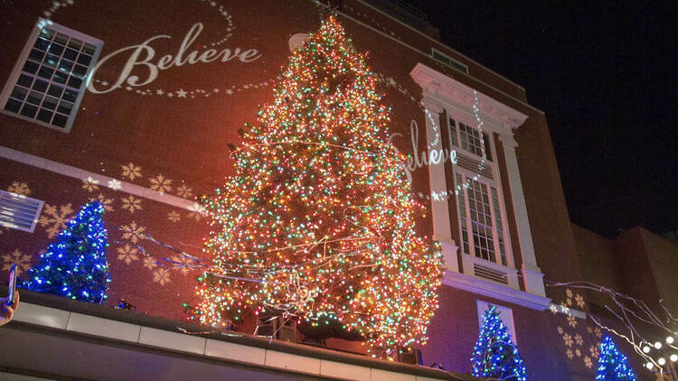 Macy's Holiday Tree Lighting 2022