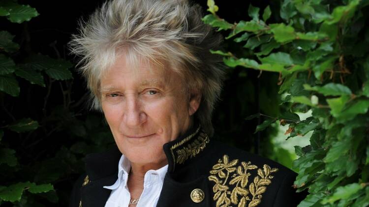 A close-up of Rod Stewart in a black and gold jacket standing in some trees.