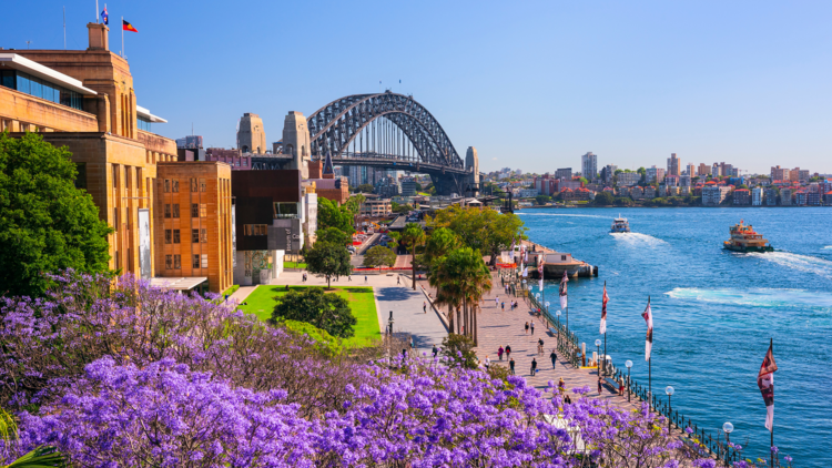 Circular Quay and the Rocks