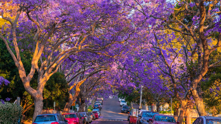 Kirribilli