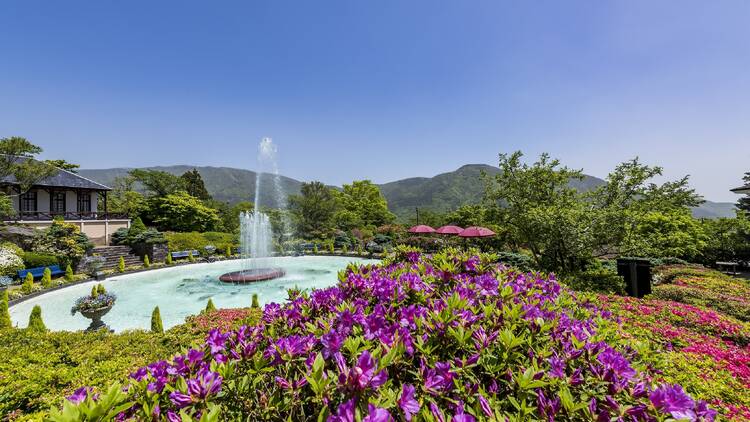 Hakone Gora Park