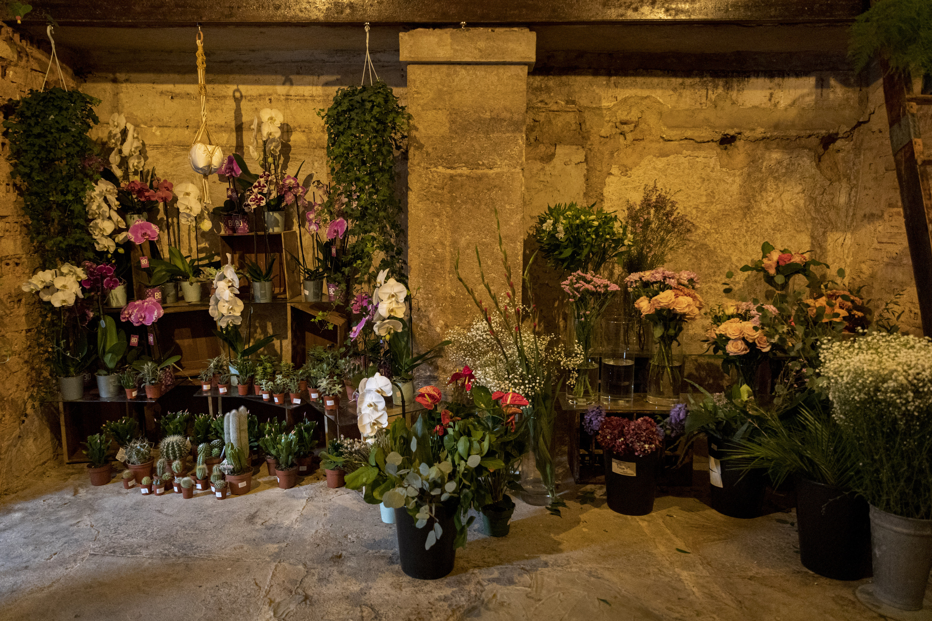 Mille Fleurs