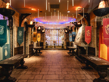 “Harry Potter: Magic at Play” “Harry Potter: Magic at Play”