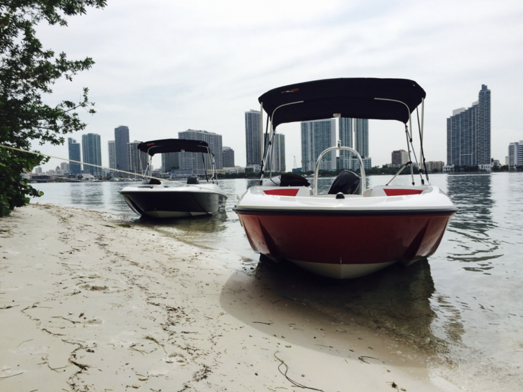 Bayliner Element