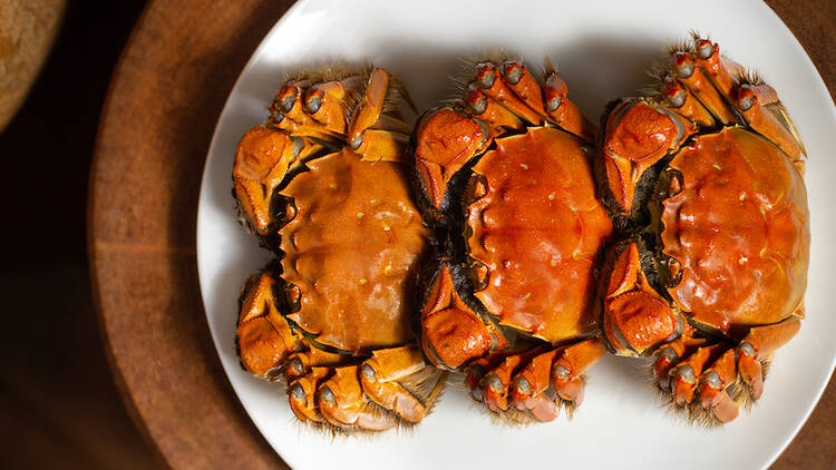 duddell's hairy crab