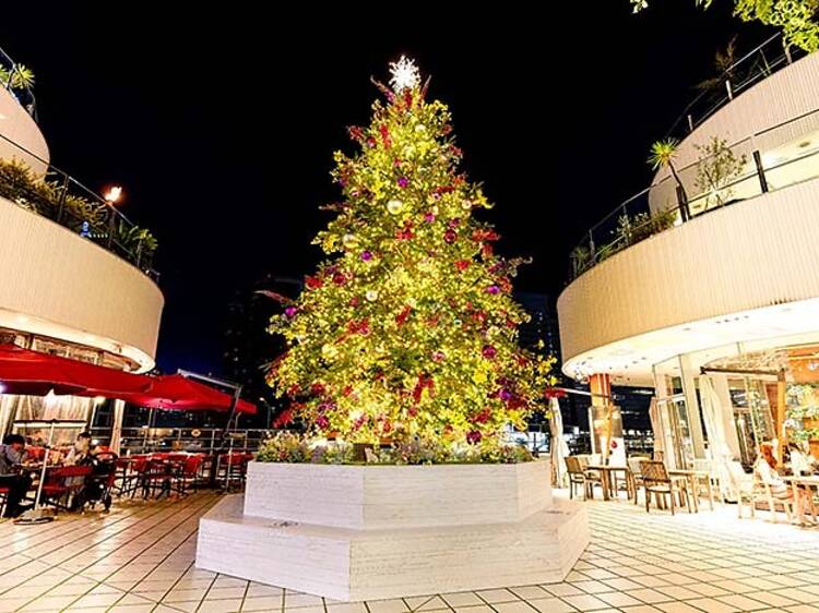 「Christmas Forest」のクリスマスツリー