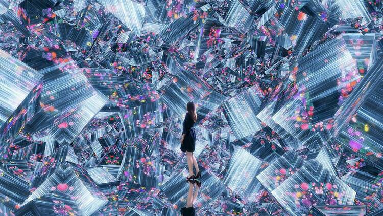 Photo: teamLab BorderlessTokyo © teamLab
