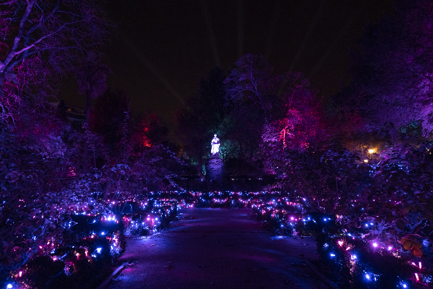 Naturaleza Encendida. Real Jardín Botánico de Madrid