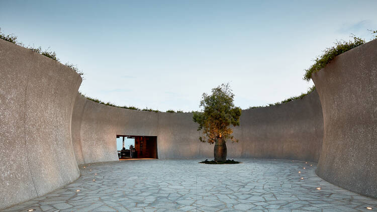 The entrance to Pt. Leo Estate is a large circular shaped courtyard with cement walls and a large tree in the centre