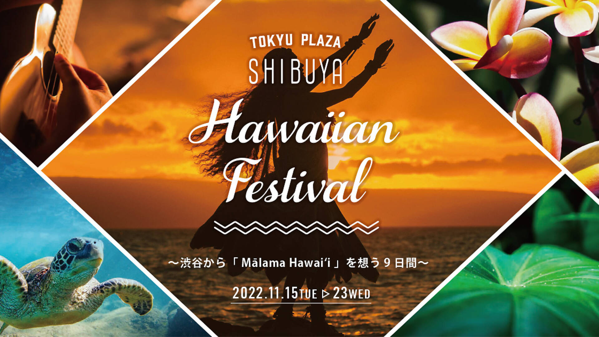 Hawaiian Festival Things to do in Tokyo