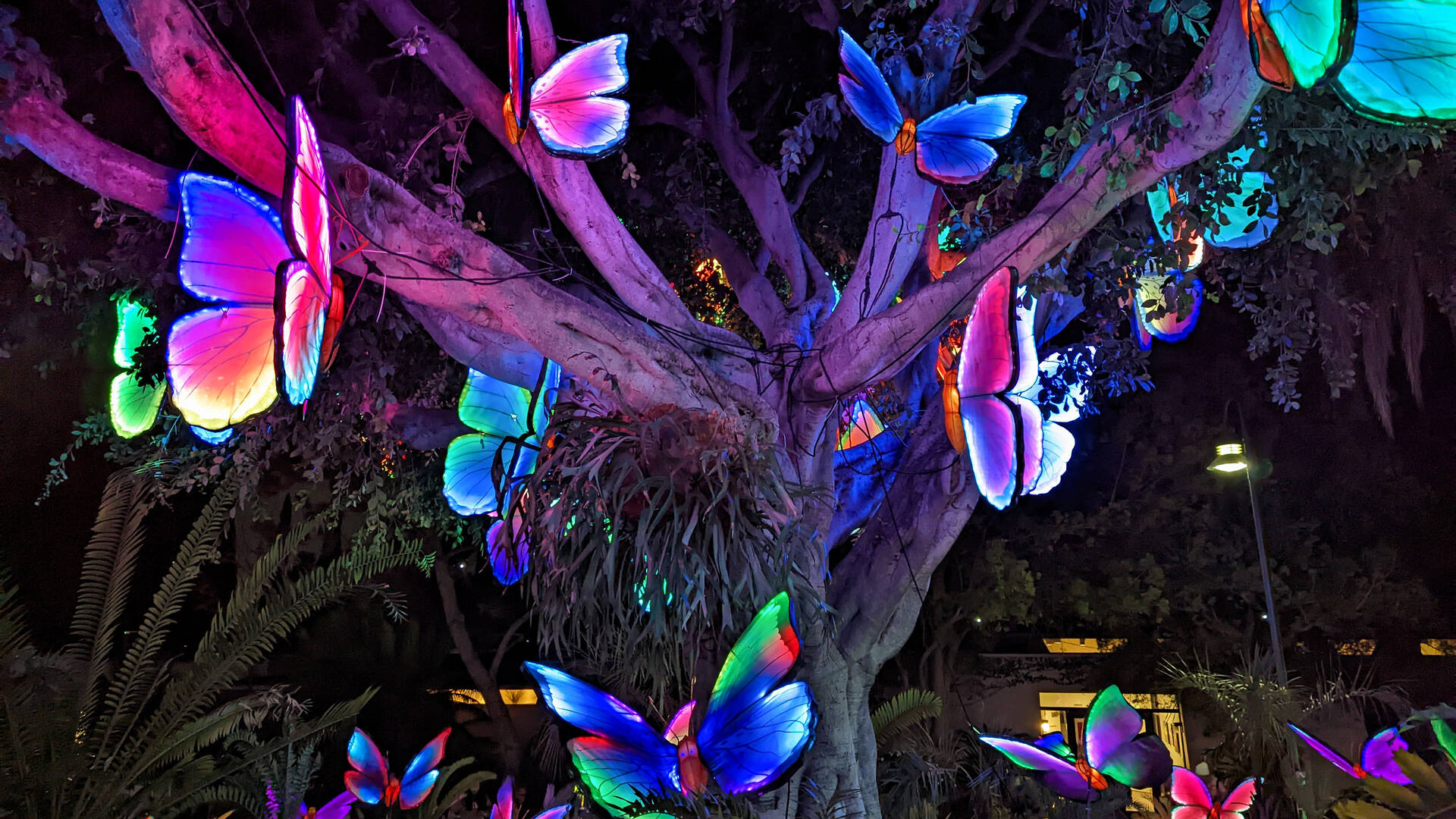 LA Zoo Lights Things to do in Los Angeles