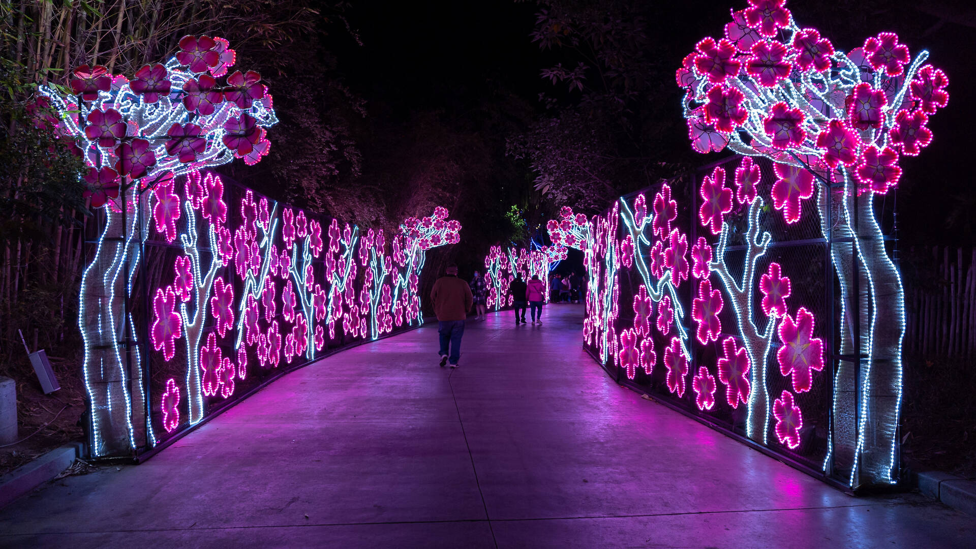 LA Zoo Lights Things to do in Los Angeles