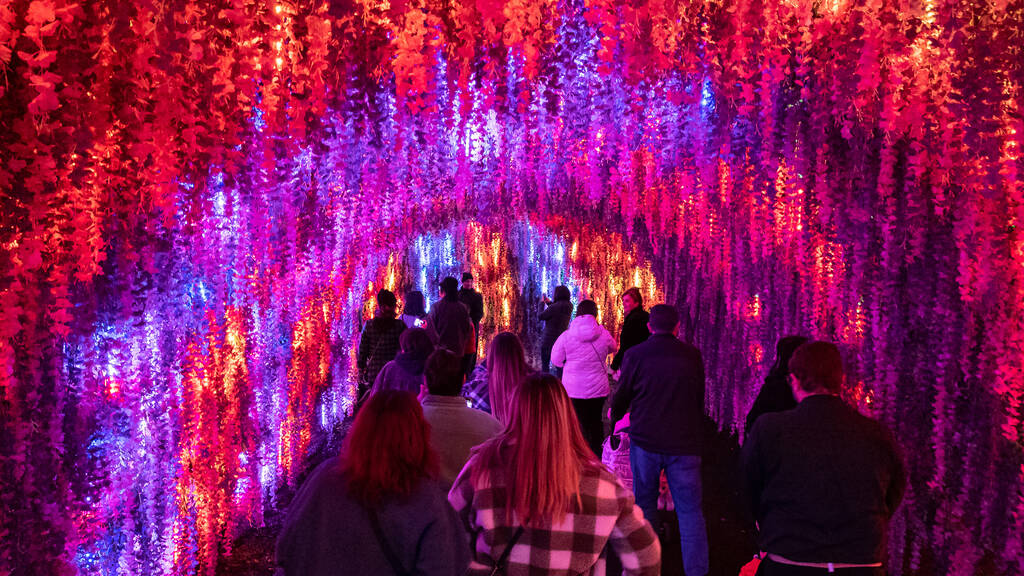 LA Zoo Lights Things to do in Los Angeles