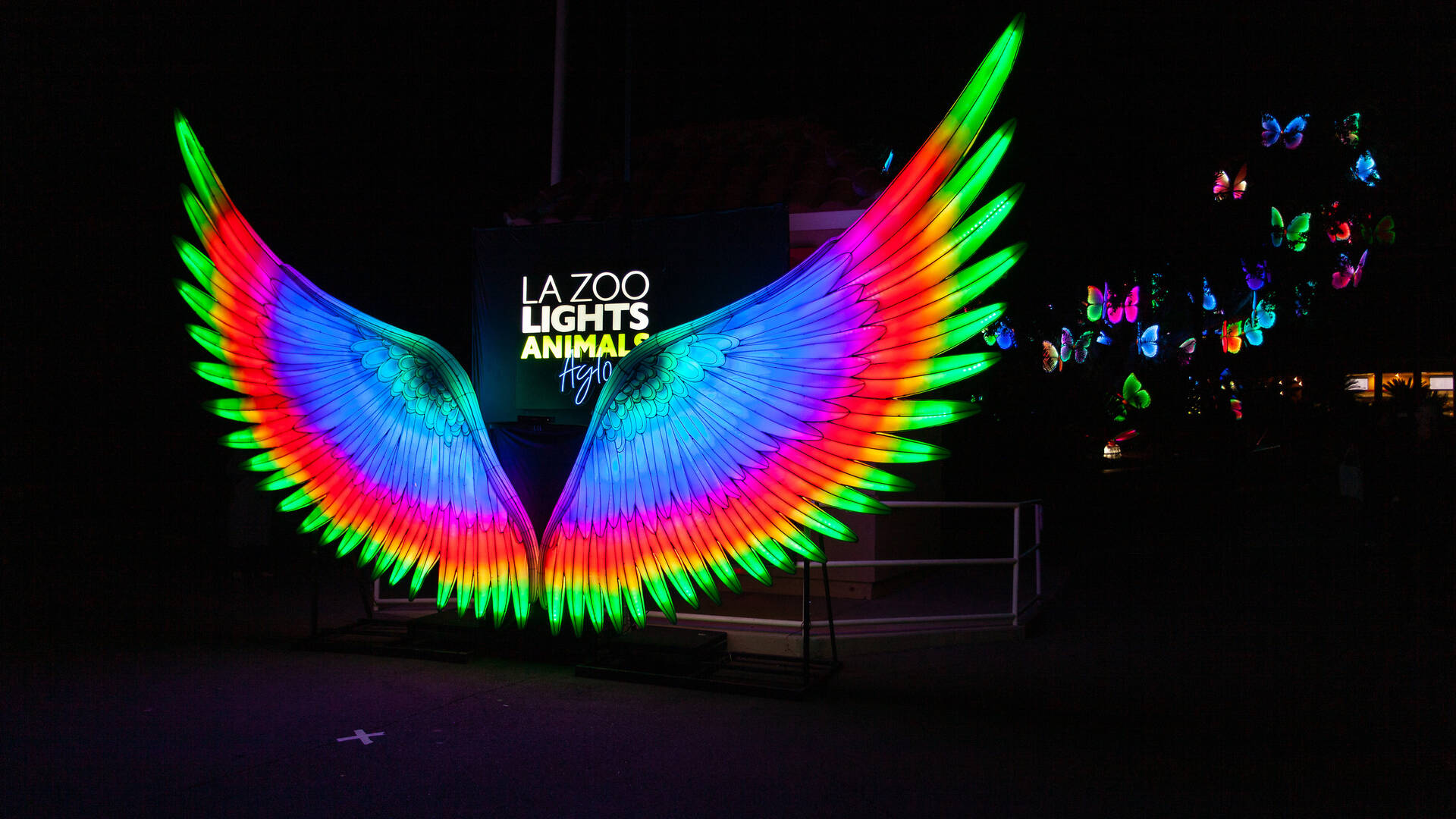 LA Zoo Lights Things to do in Los Angeles