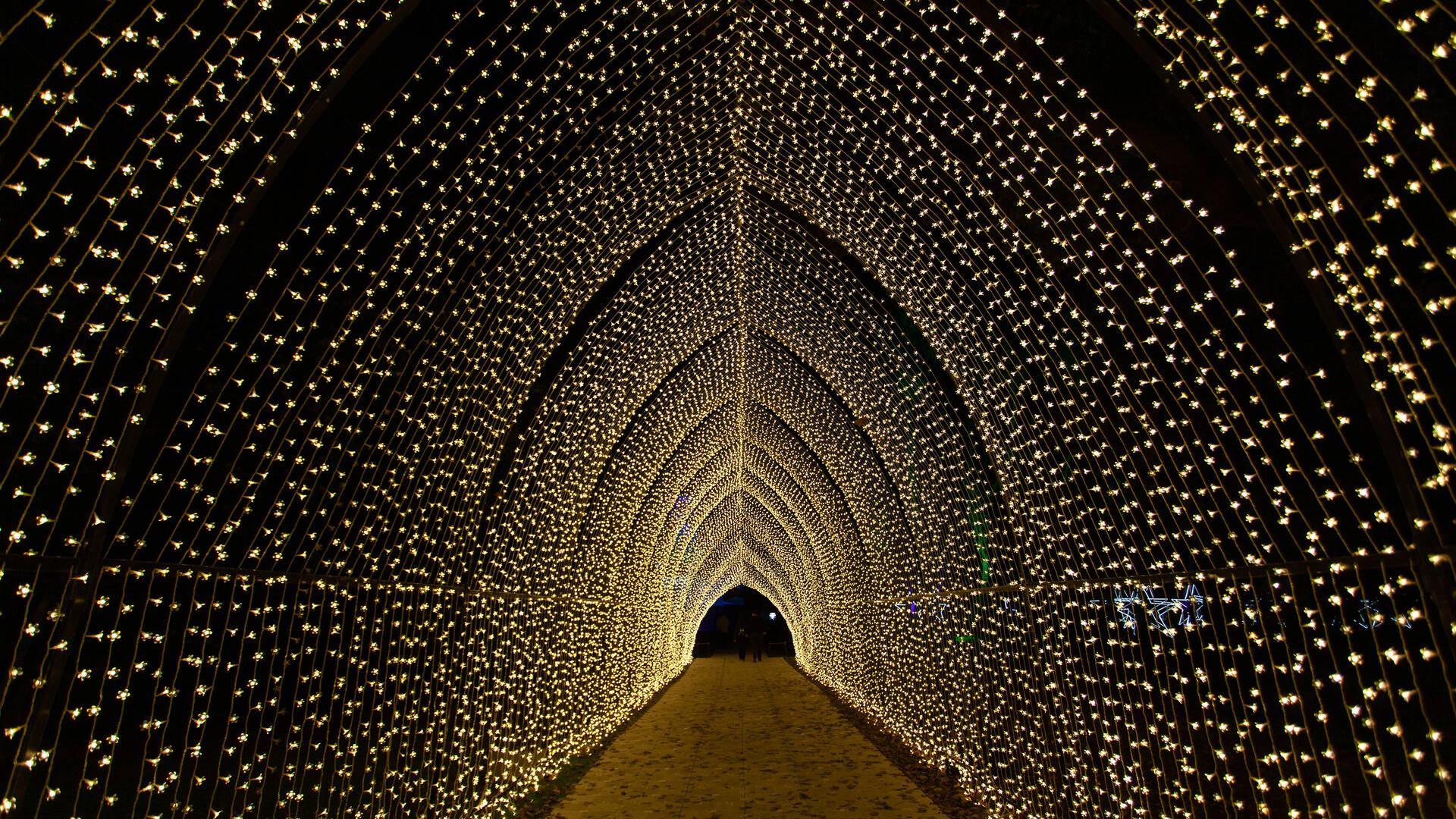 Lightscape is bringing glittering lights to the L.A. County Arboretum