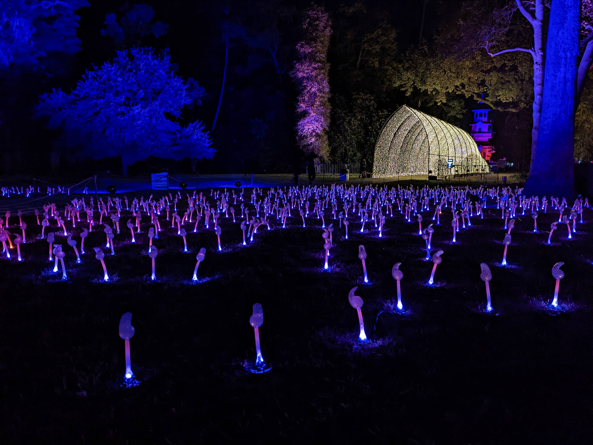 Best Christmas Events and Things to Do for the Holidays in Los Angeles