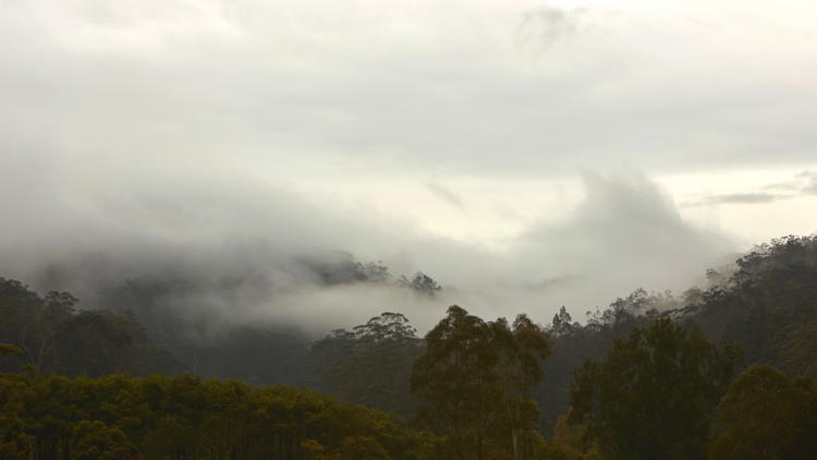 The Bundanon landscape