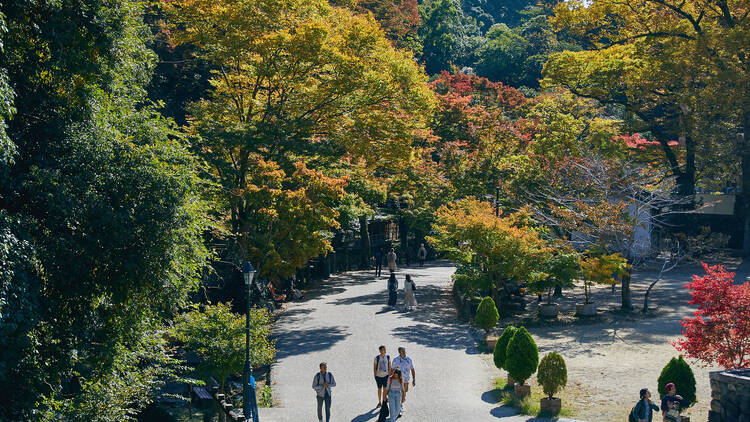 箕面大滝