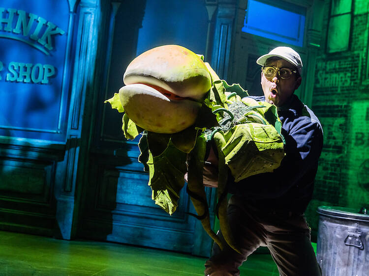 Little Shop of Horrors Little Shop of Horrors