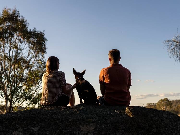 Take a romantic road trip for the two of you (plus the pooch) to... Stanthorpe