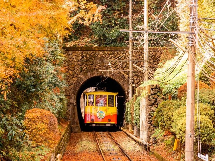 Colourful train, Mt Takao, autumn leaves