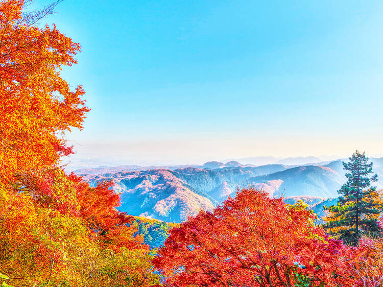 Mt Takao