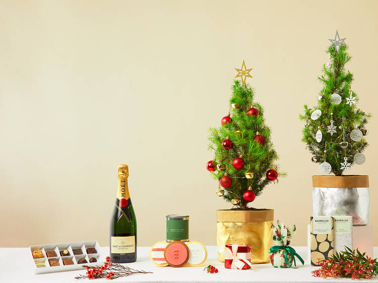 Tiny living Christmas trees by Floraly, from $89