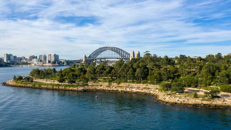 Barangaroo Reserve seen from the Harbour with the Harbour Bridge in the background