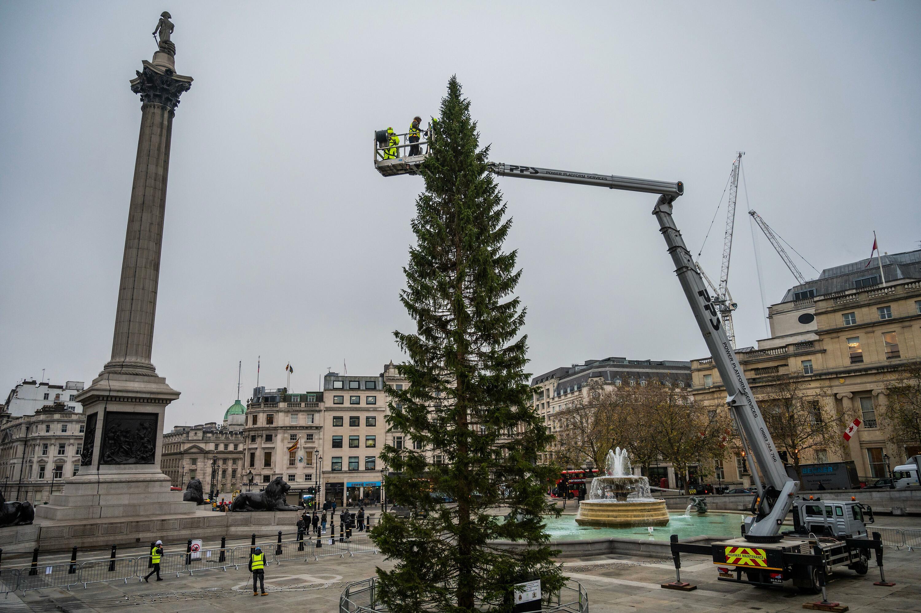 The new Trafalgar Square Christmas tree has landed and the internet has opinions