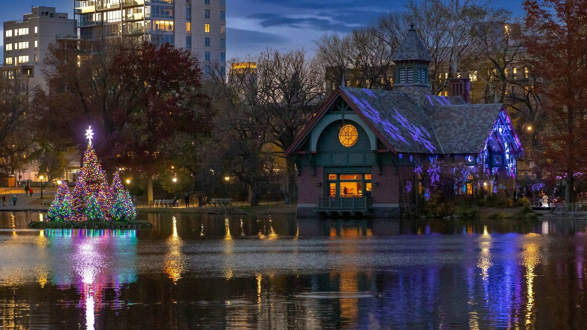 Central Park's holiday lighting will include lighting flotilla of trees