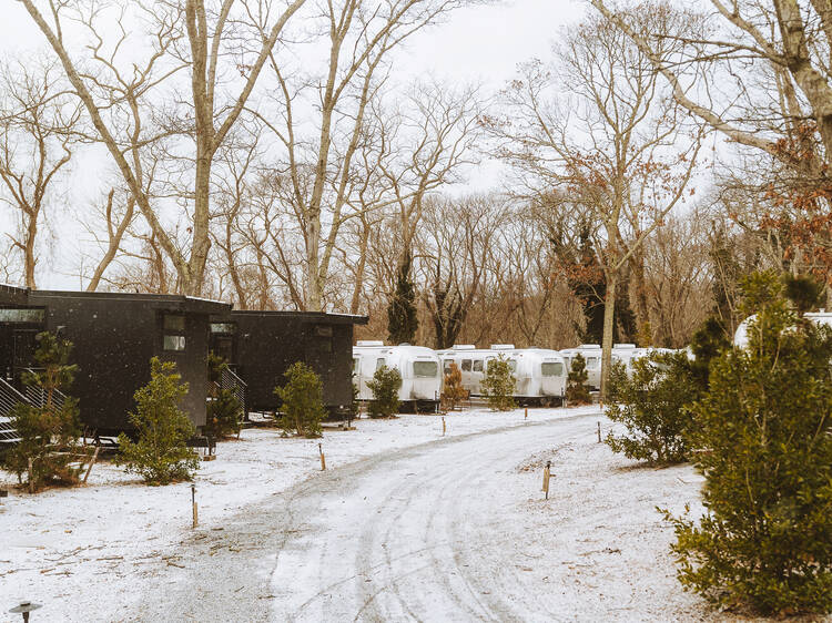 Enjoy nature at AutoCamp Cape Cod