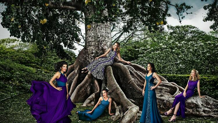 Five women in the band Divahn stand by a tree.
