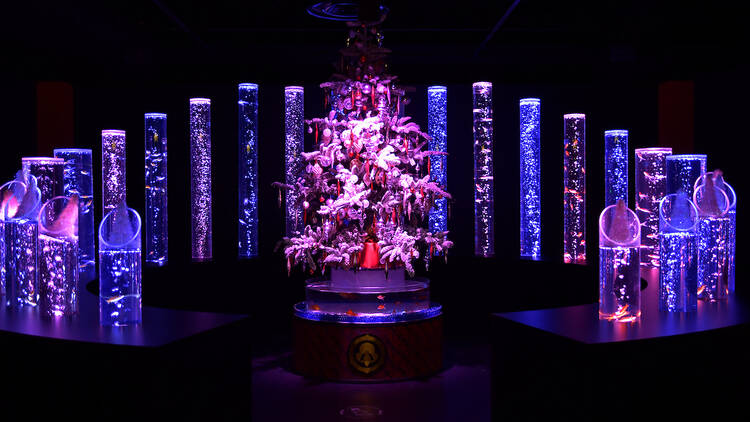 Art Aquarium Museum: Christmas edition | Things to do in Tokyo