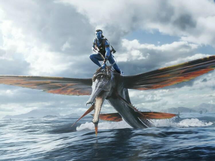 An alien rides agiant flying fish in Avatar: The Way of Water