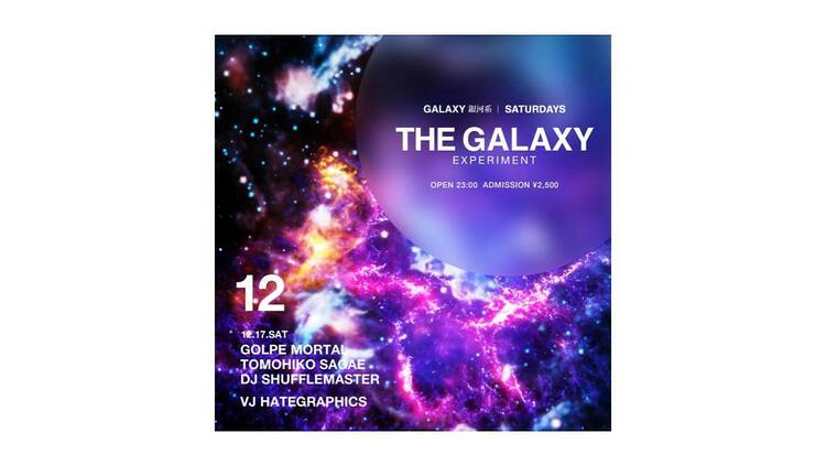 THE GALAXY EXPERIMENT