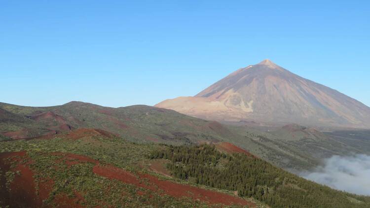 Pura Biodiversidad Canaria (Paula Ortega).