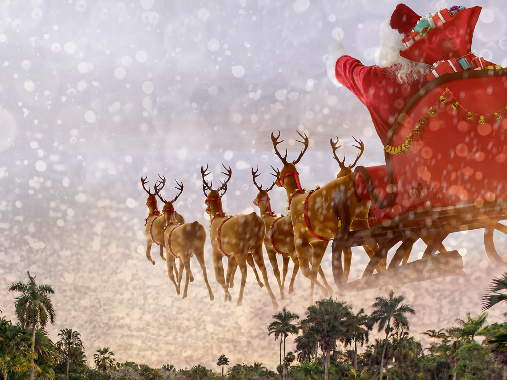 The Best Miami Christmas Events and Festive Holiday Happenings