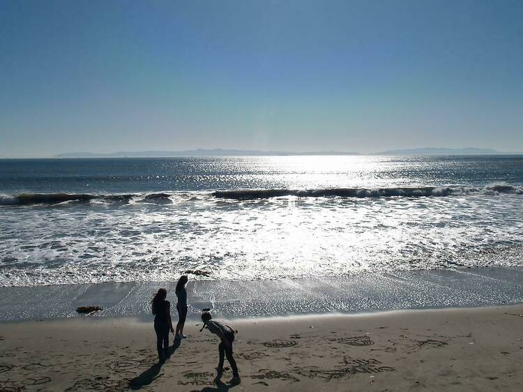 Polar Bear Plunge jumpstarts new year