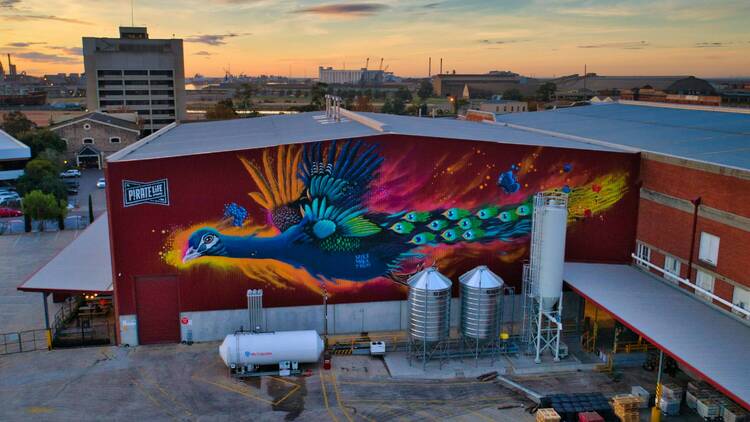 Pirate Life brewery is a large warehouse with a large graffiti mural outside