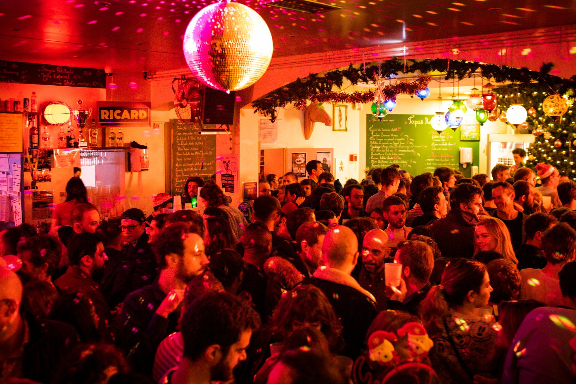 Soirée au Rosa Bonheur