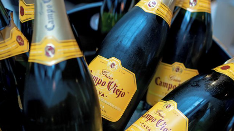 Bottles of Campo Viejo cava on ice