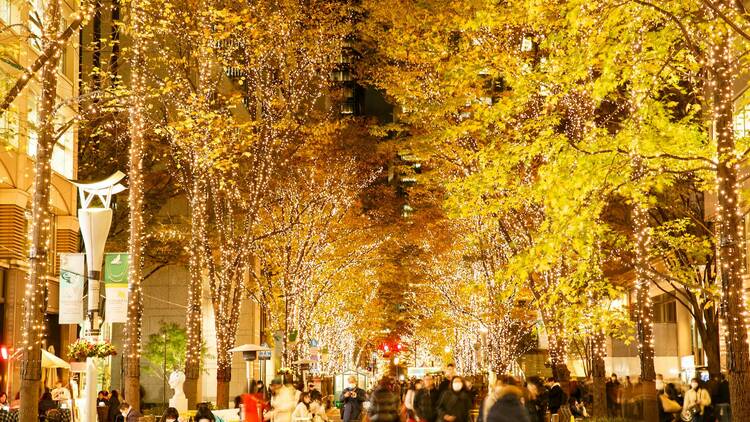 Incredible winter light-ups and illuminations in Tokyo